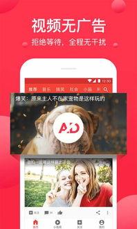 吃瓜视频爆料小说在线阅读,热门小说背后的故事 第2张 吃瓜视频爆料小说在线阅读,热门小说背后的故事 第2张